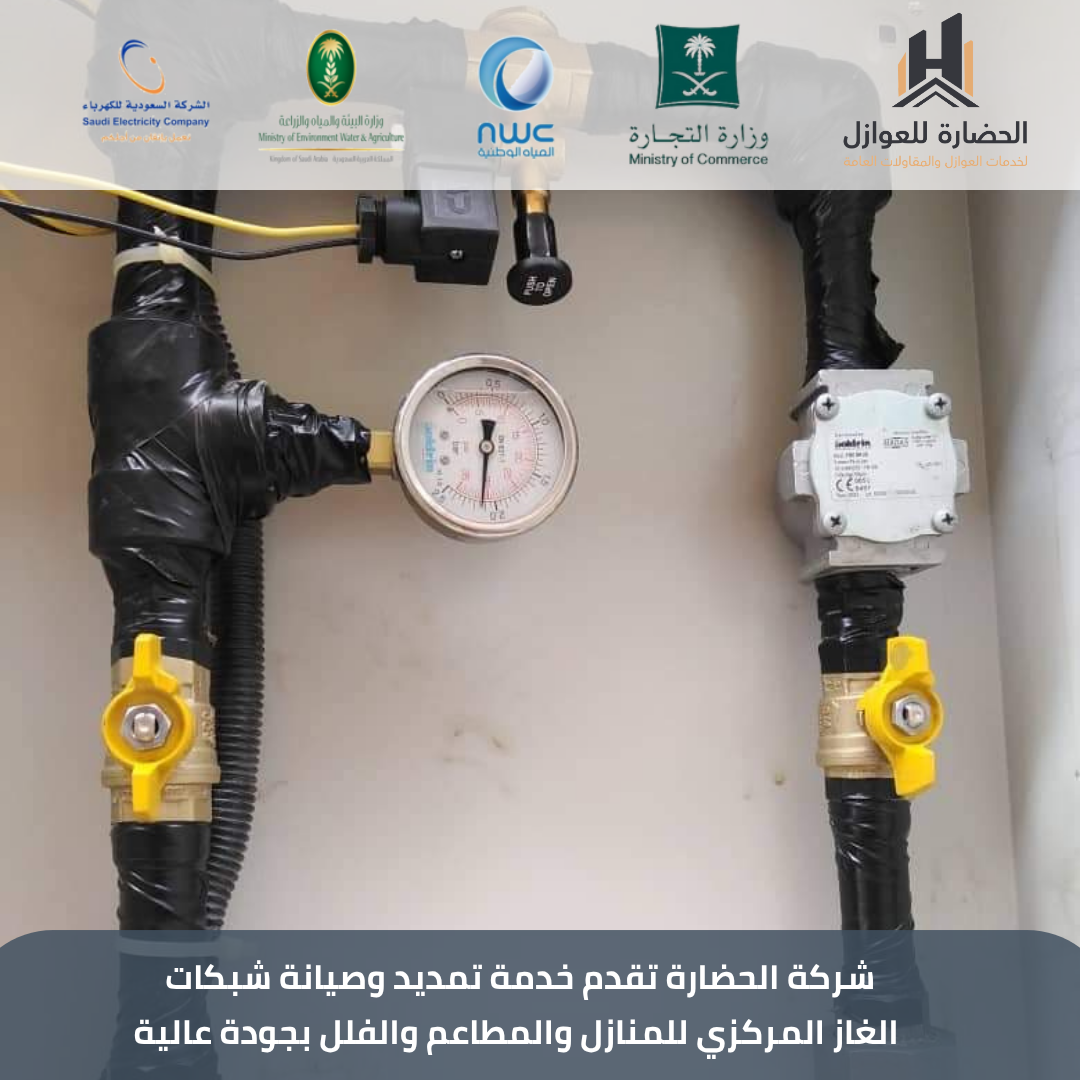 نسخة من Blue and Gray Classic Commercial and Office Janitorial Cleaning Services Company Instagram Post (33)